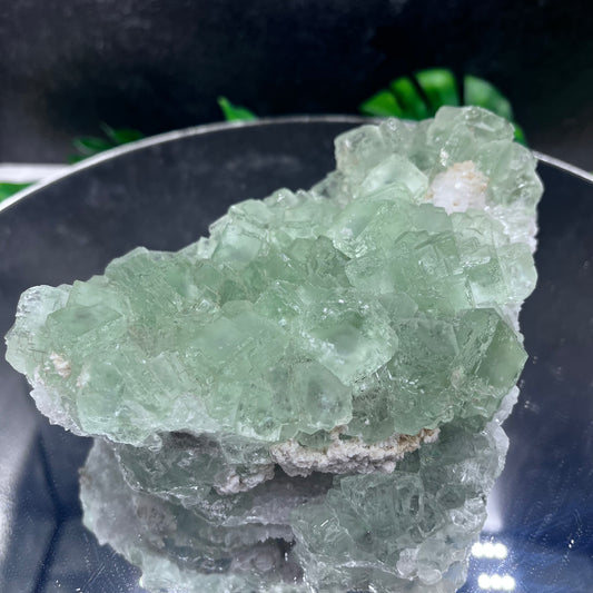 Green Fluorite Cluster