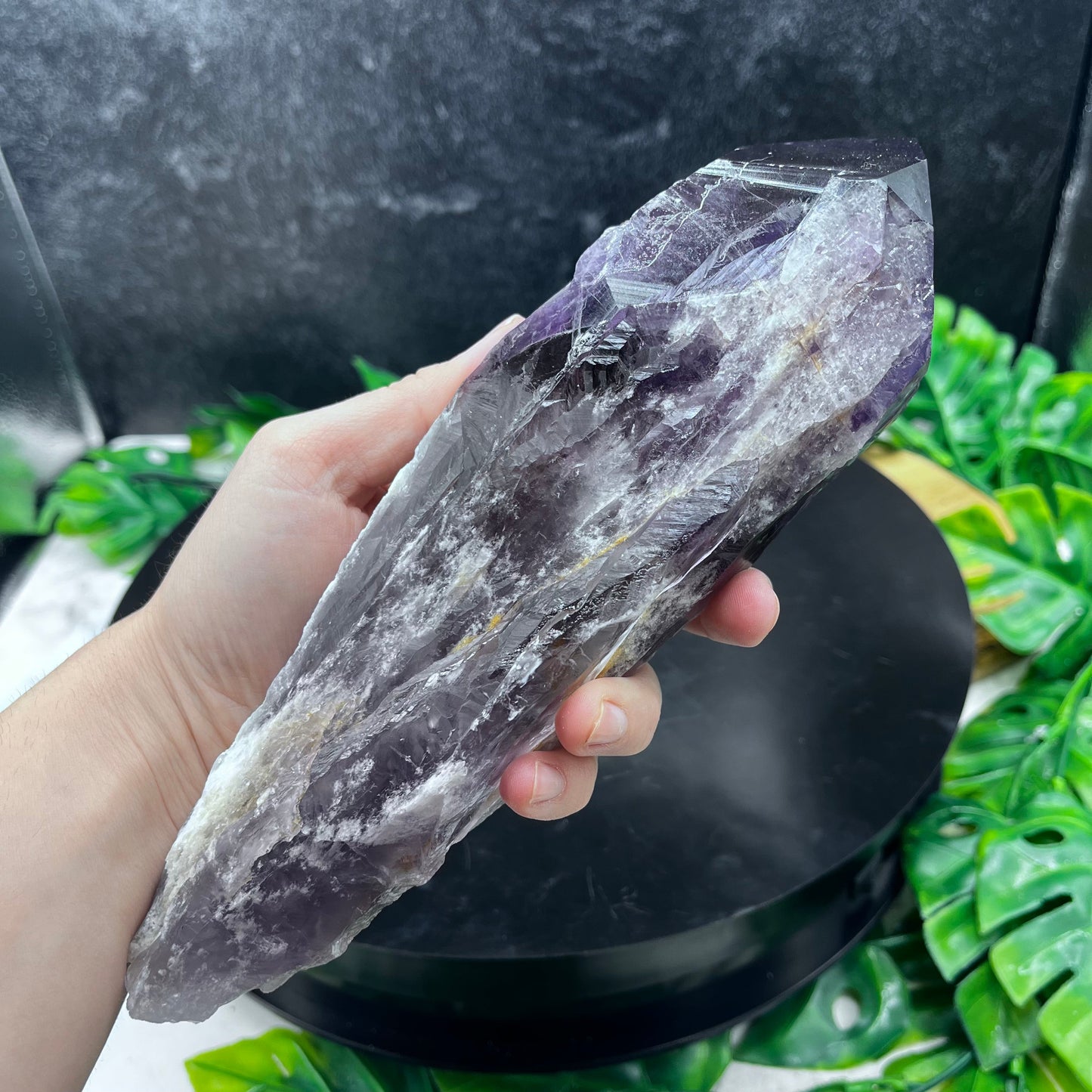 Amethyst Root