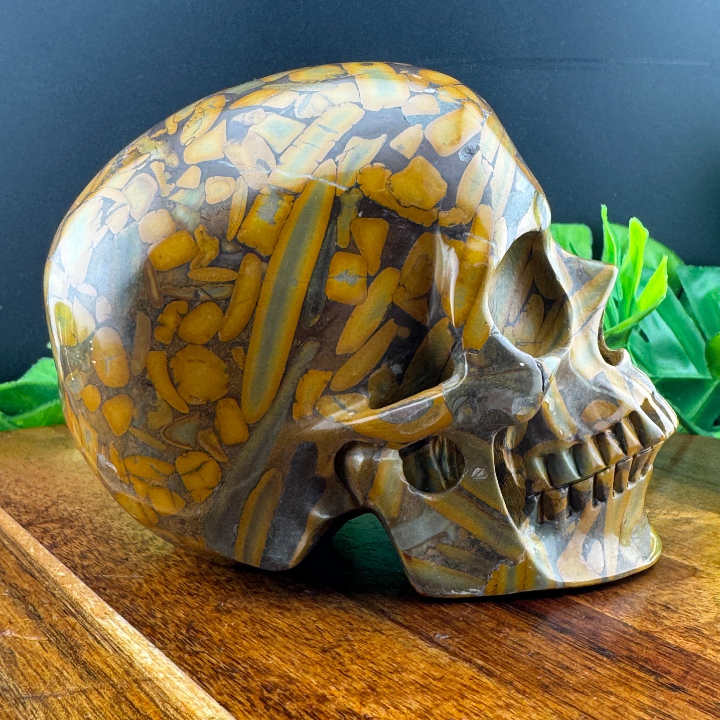 Bamboo Leaf Jasper Skull