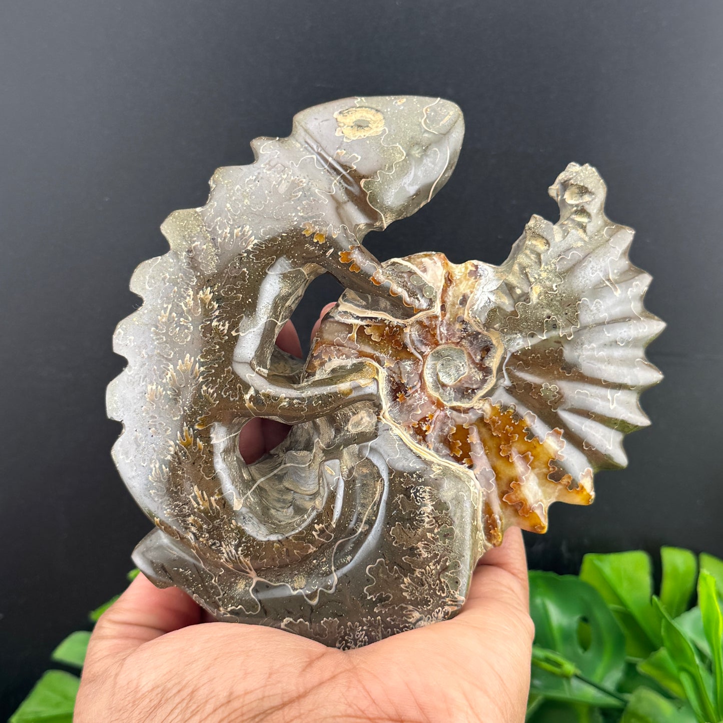 Ammonite Lizard Carving
