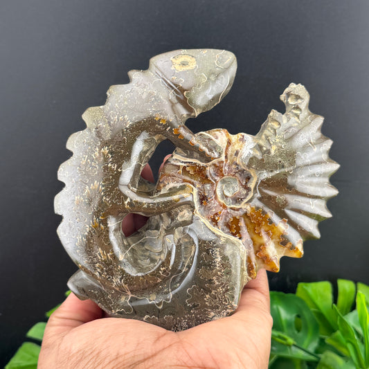 Ammonite Lizard Carving