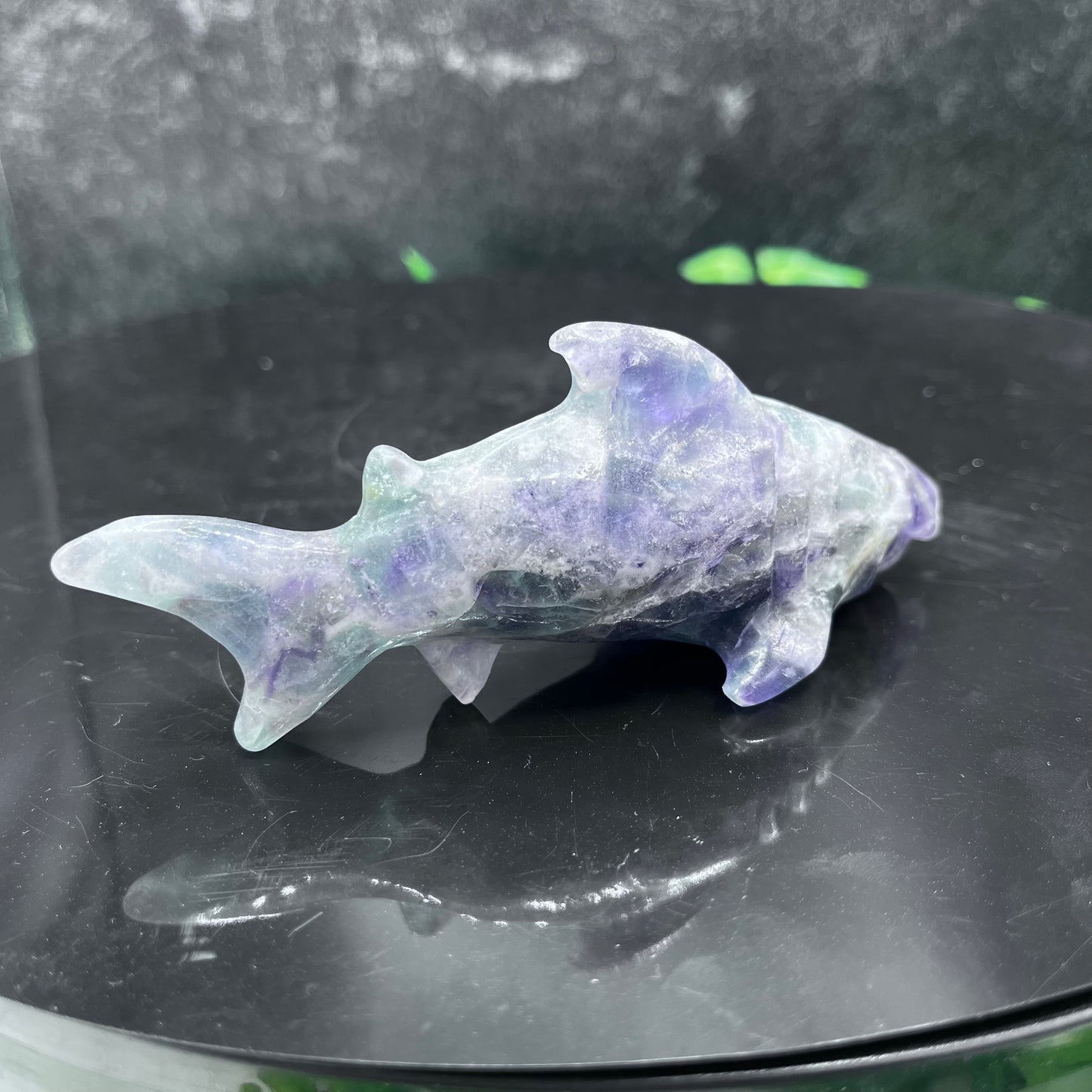 Fluorite Shark