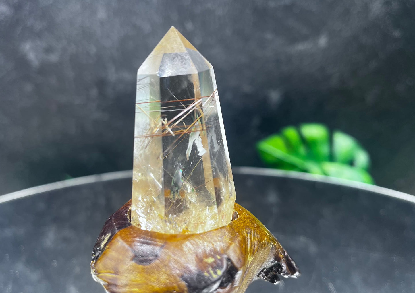 Rutilated Clear Quartz on Stand