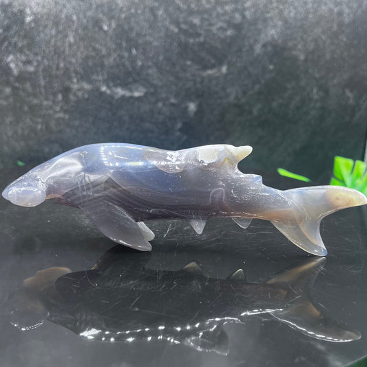 Agate Hammer Head Shark