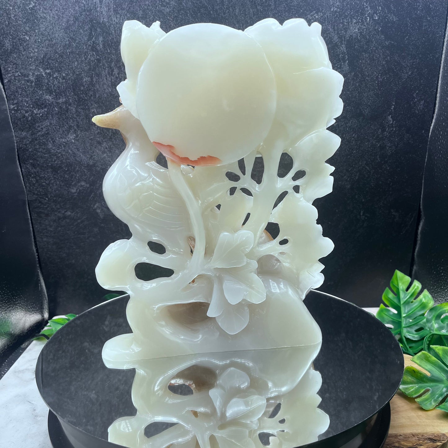 Onyx Peacock on Flower