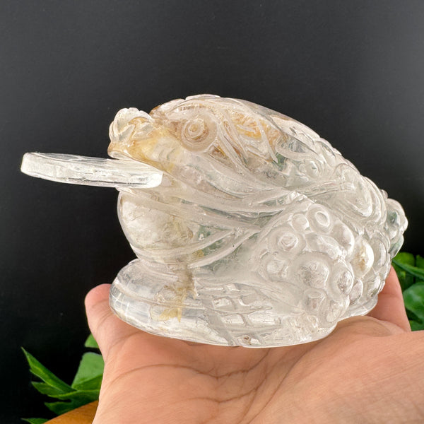 Clear Quartz Money Toad with Hematite
