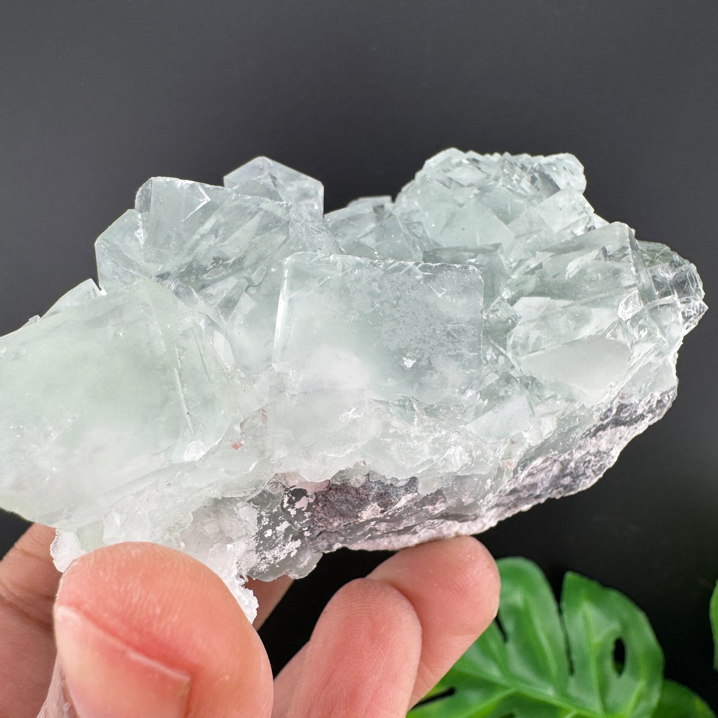 Glassy Green Fluorite Cluster Specimen