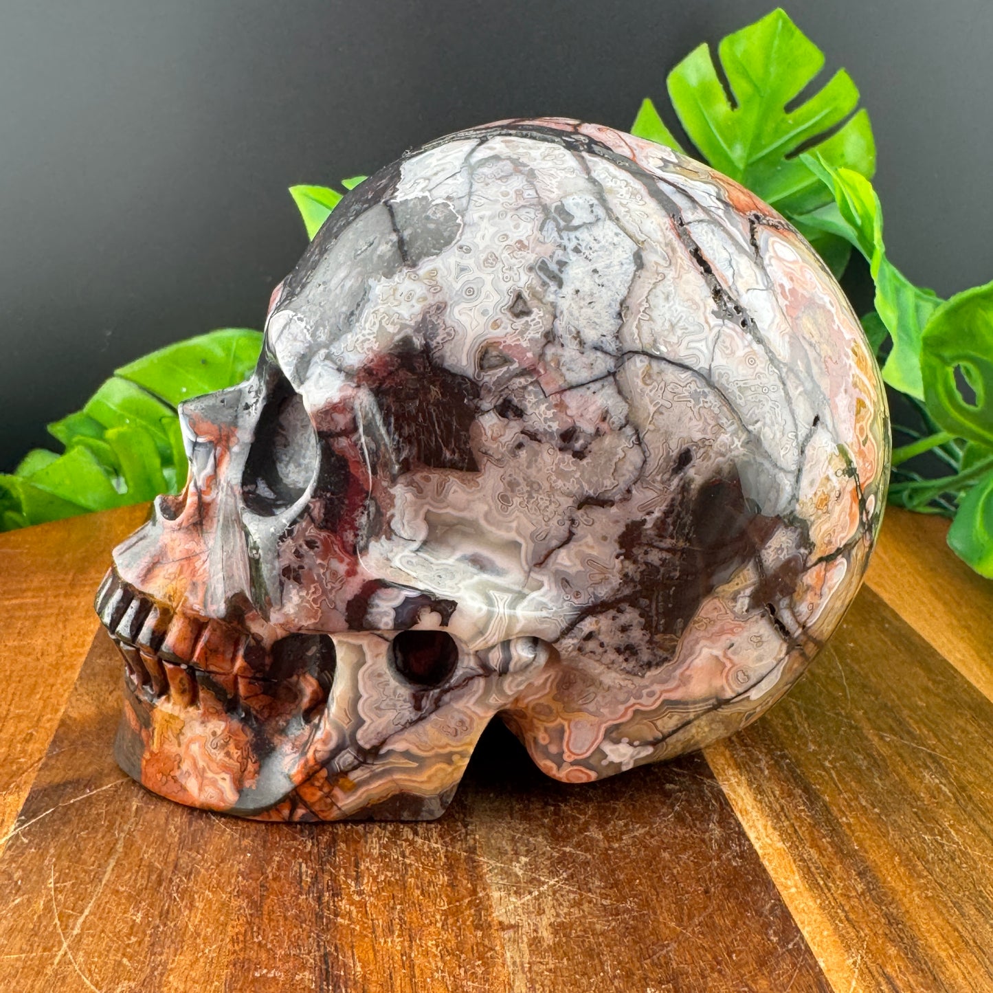 Mexican Crazy Lace Agate Skull