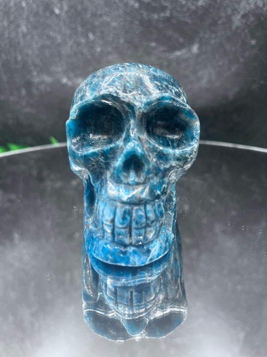 Blue Apatite Skull