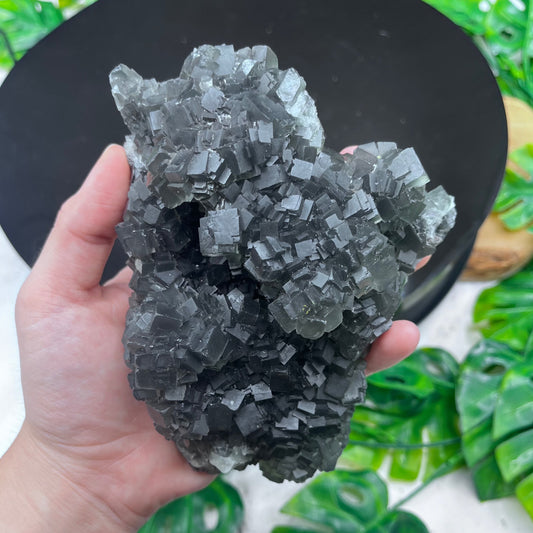 Cubic Black Fluorite Cluster