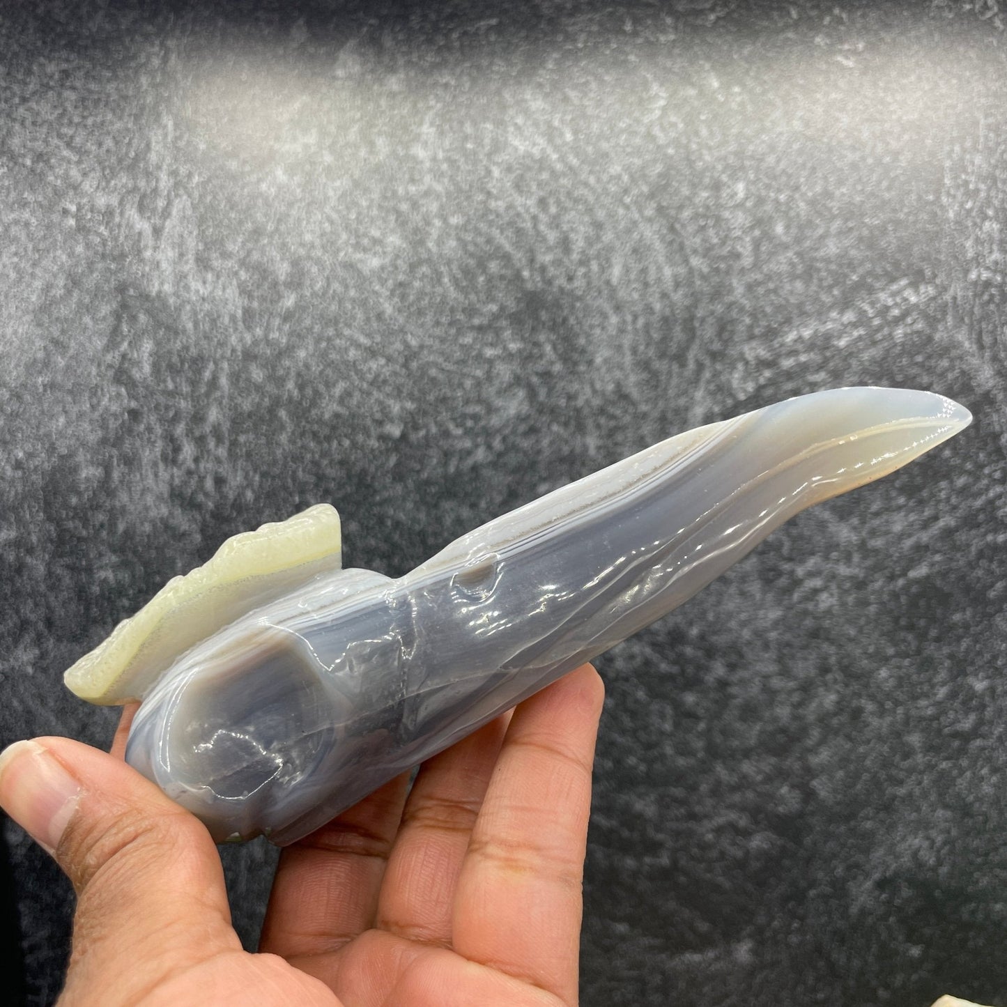 Agate Bird Skull