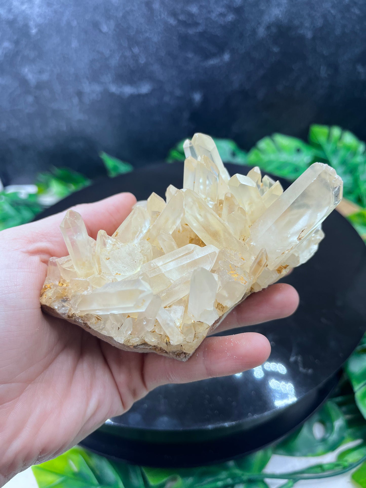 Himalayan Quartz Cluster