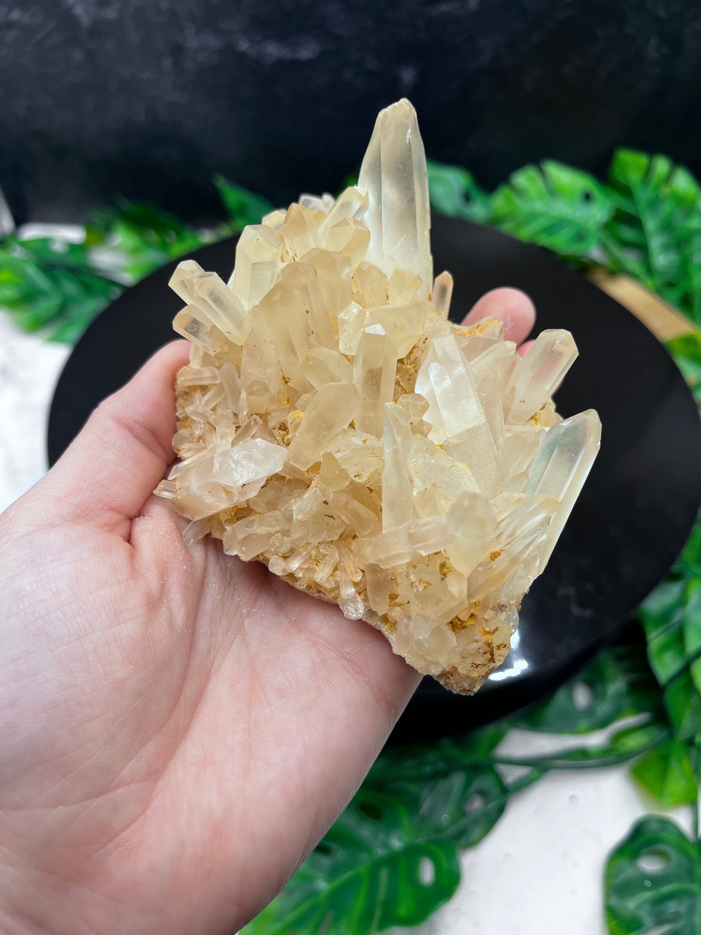 Himalayan Quartz Cluster