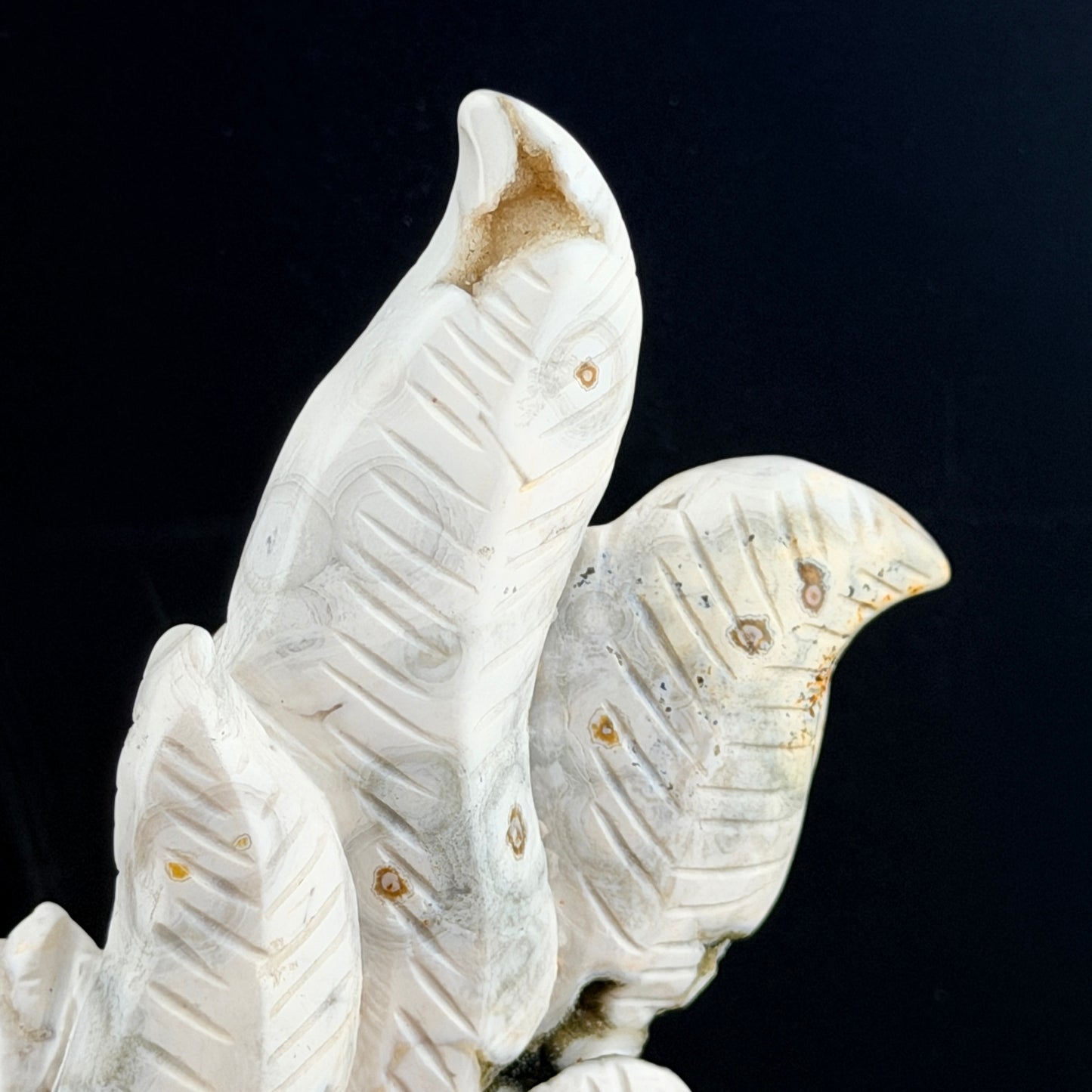 White Orbicular Jasper Nine Tail Fox