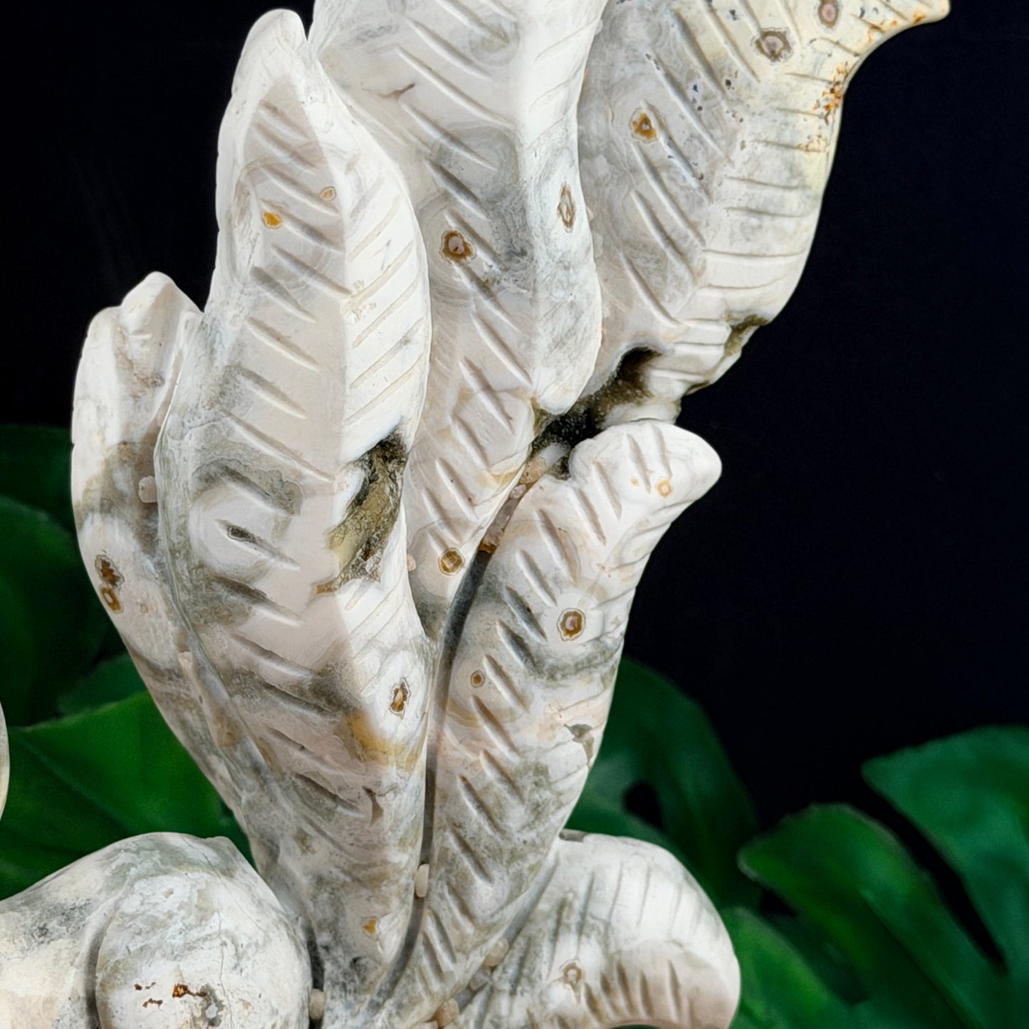 White Orbicular Jasper Nine Tail Fox