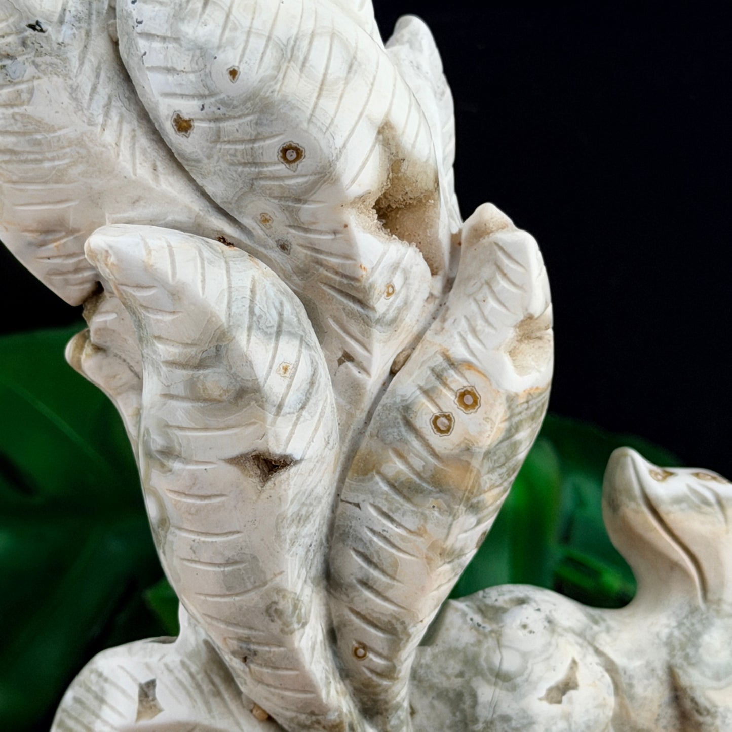 White Orbicular Jasper Nine Tail Fox