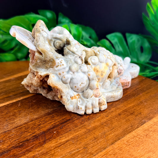 Pink Druzy Orbicular White Jasper Money Toad