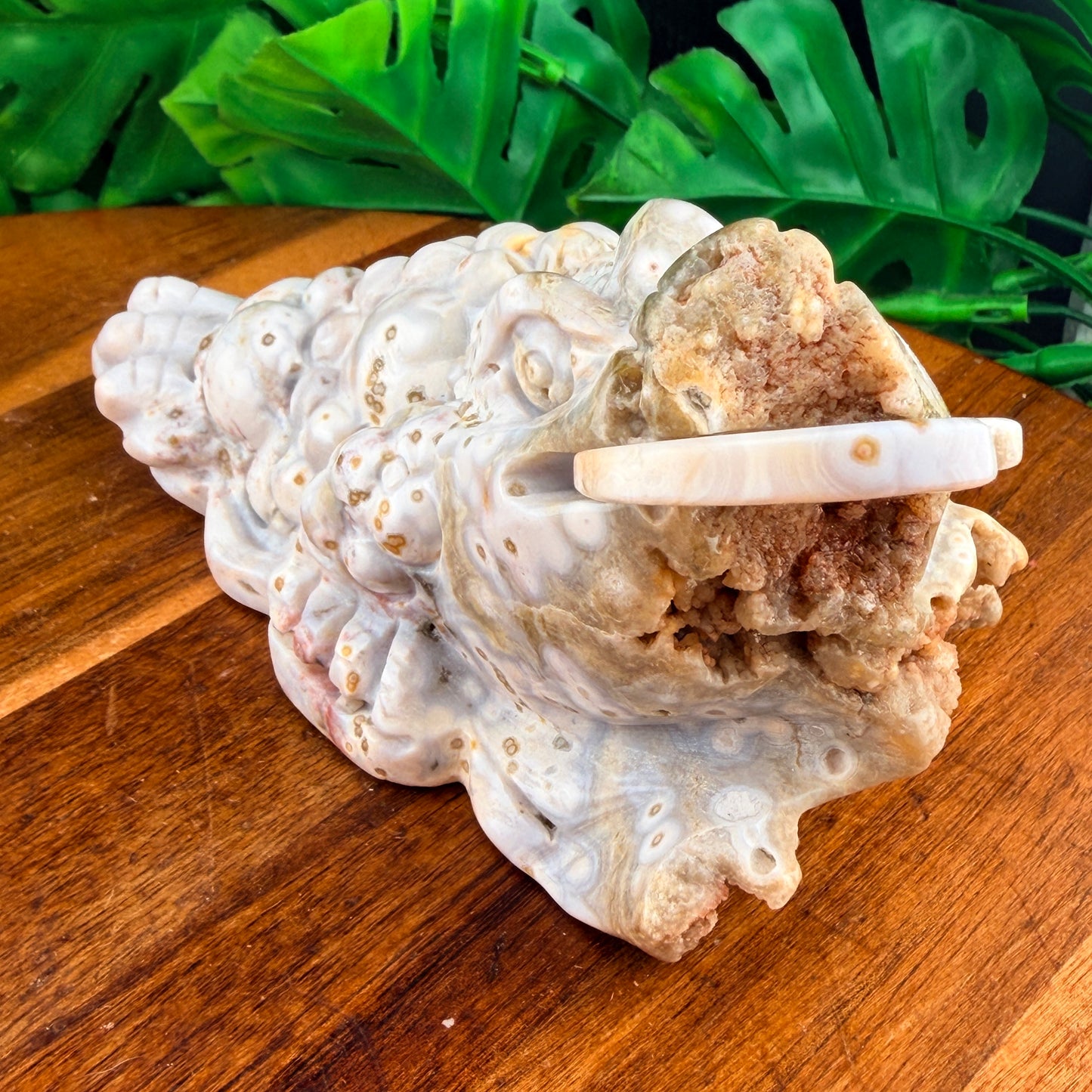 Pink Druzy Orbicular White Jasper Money Toad