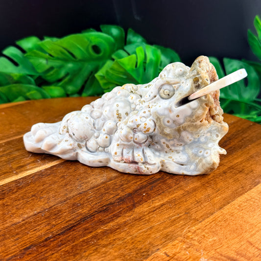 Pink Druzy Orbicular White Jasper Money Toad