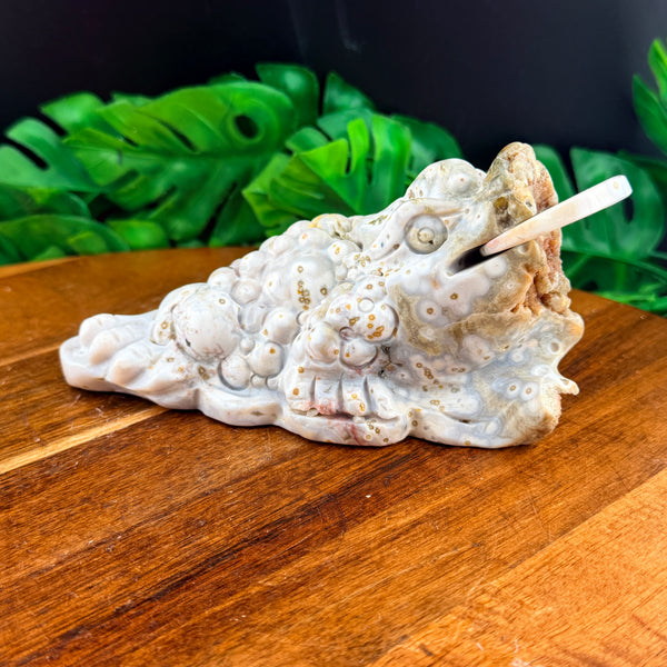 Pink Druzy Orbicular White Jasper Money Toad