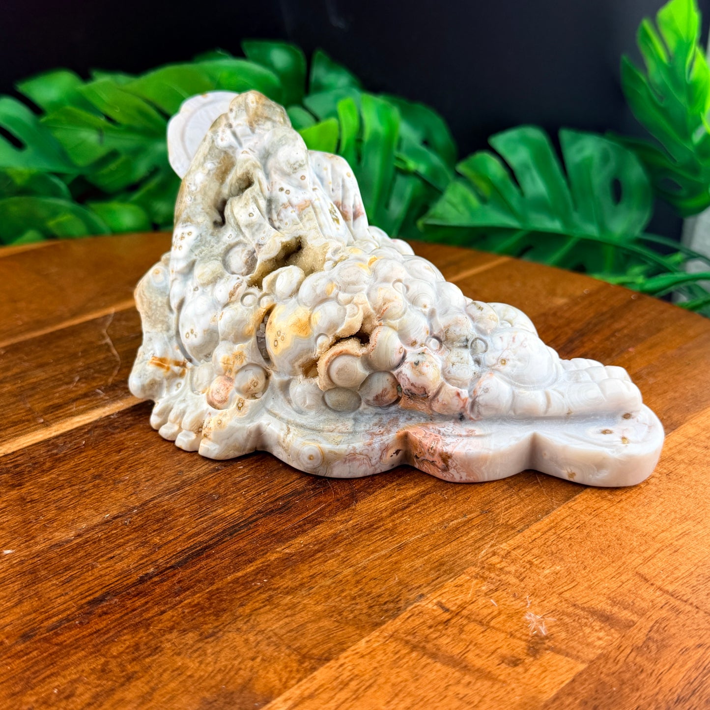 Pink Druzy Orbicular White Jasper Money Toad