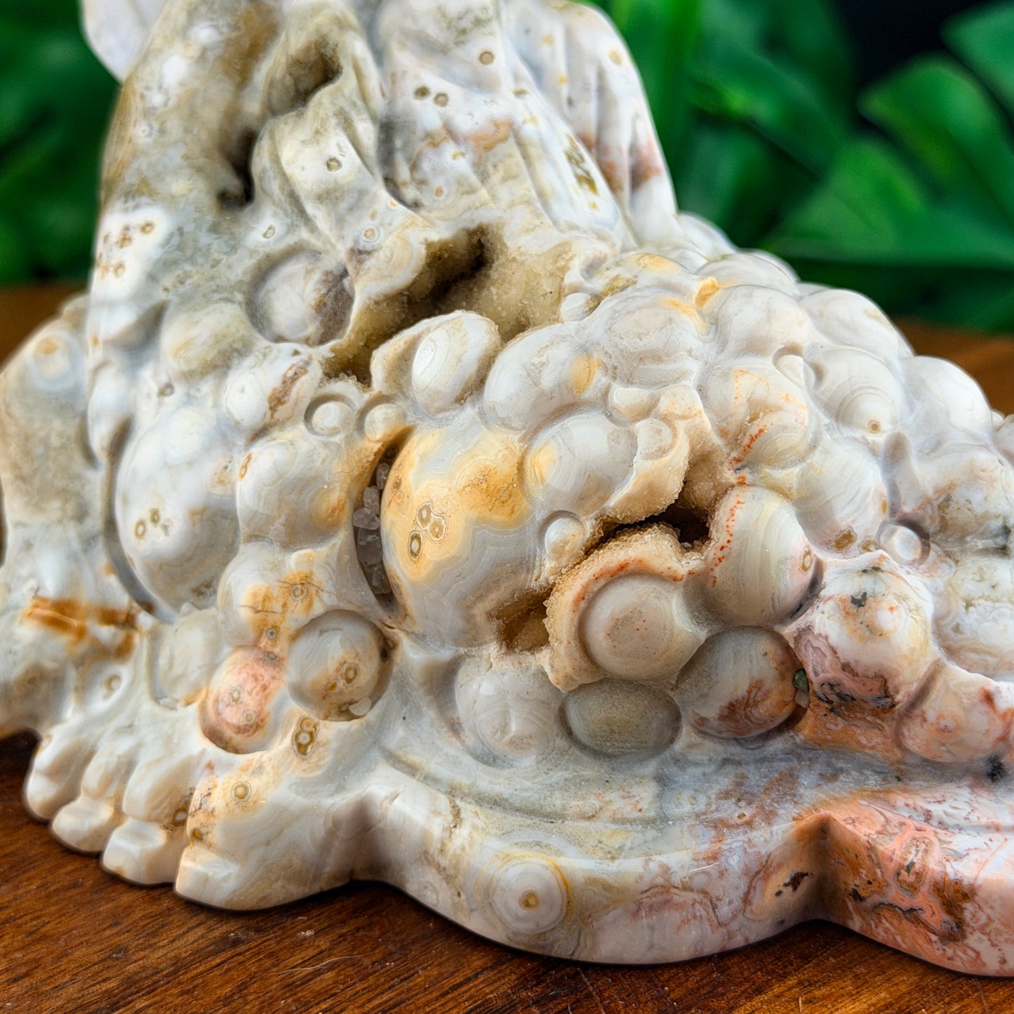 Pink Druzy Orbicular White Jasper Money Toad