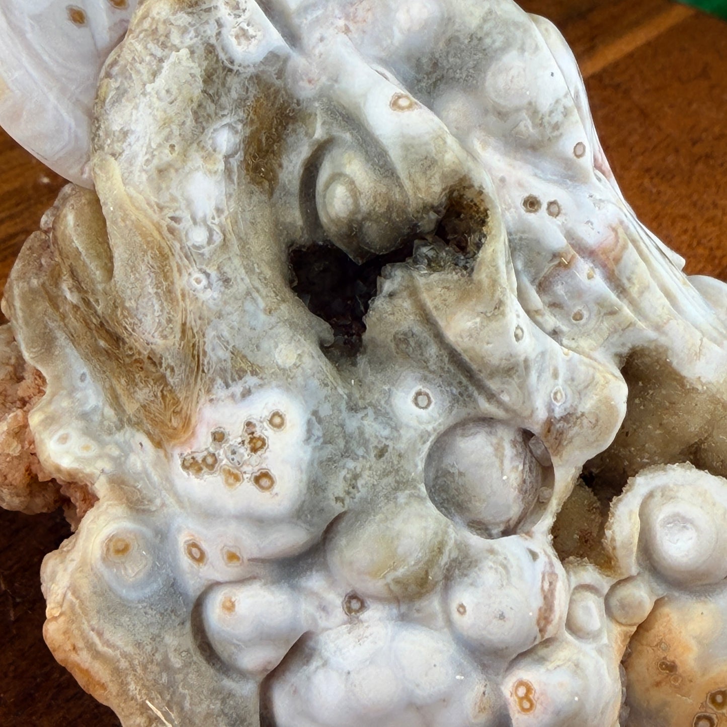 Pink Druzy Orbicular White Jasper Money Toad