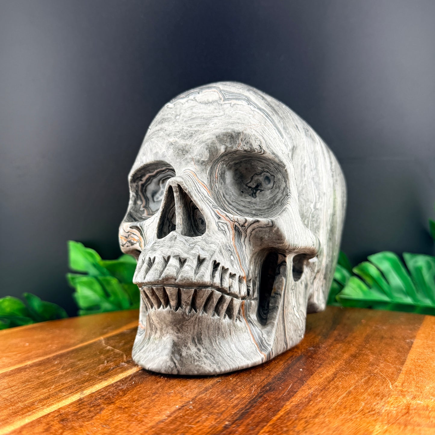 XL Red Line Jasper Skull