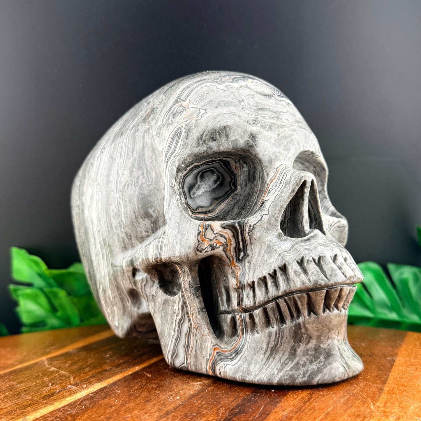 XL Red Line Jasper Skull