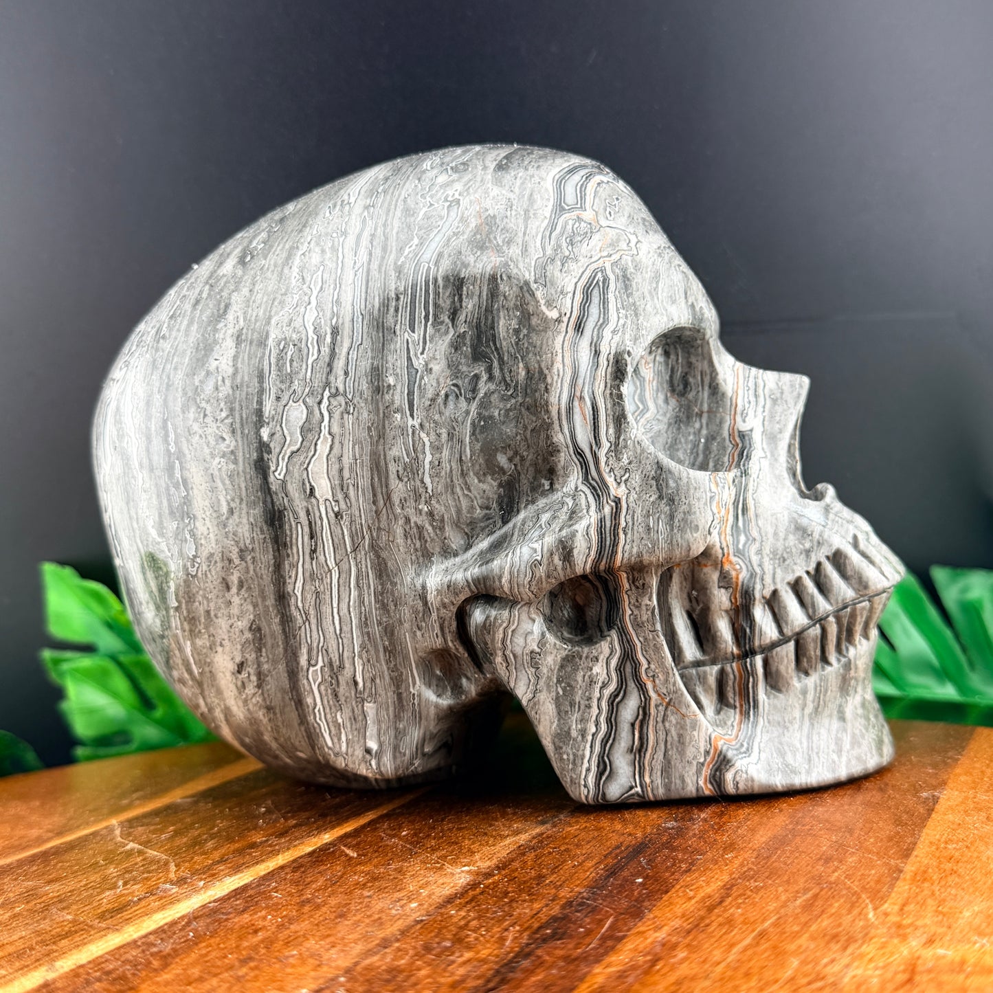 XL Red Line Jasper Skull