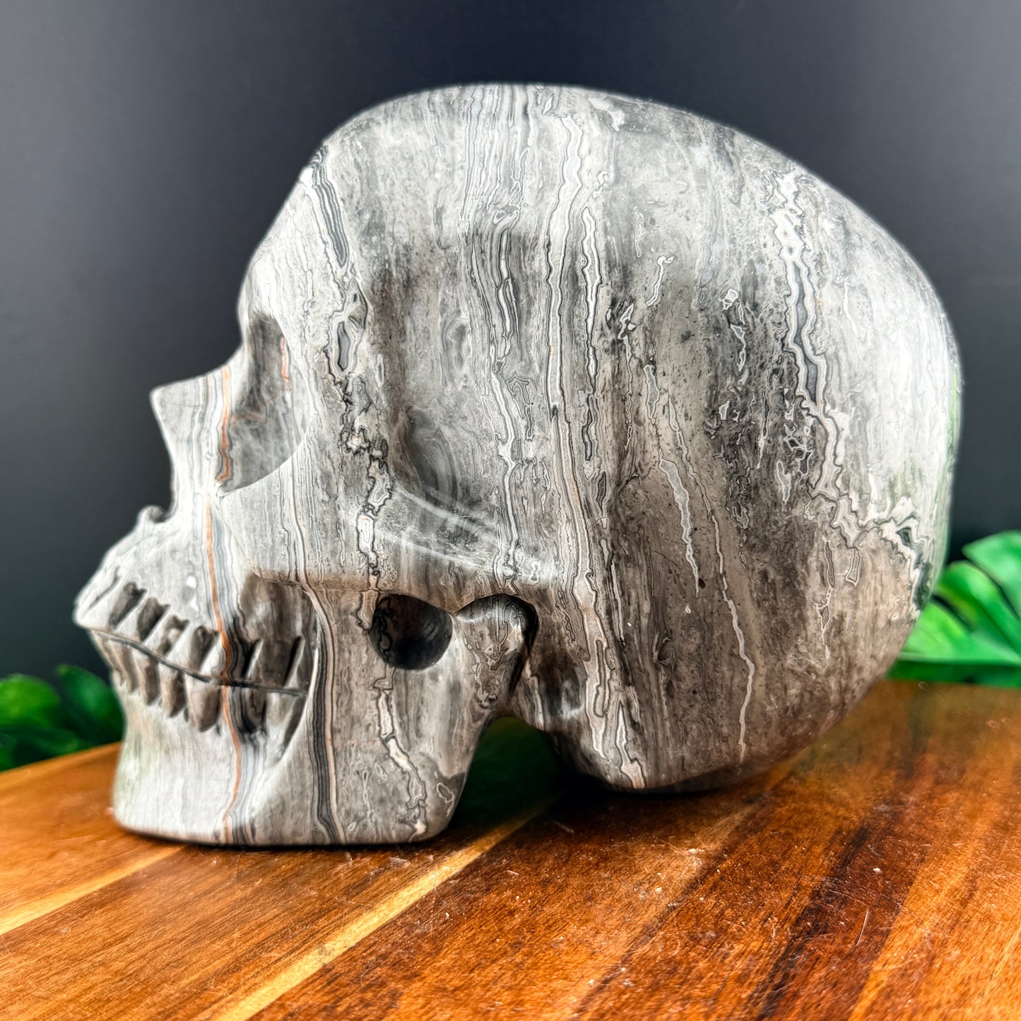 XL Red Line Jasper Skull