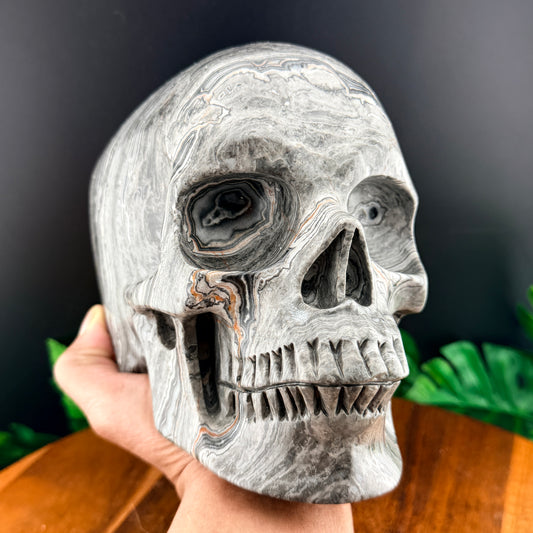 XL Red Line Jasper Skull