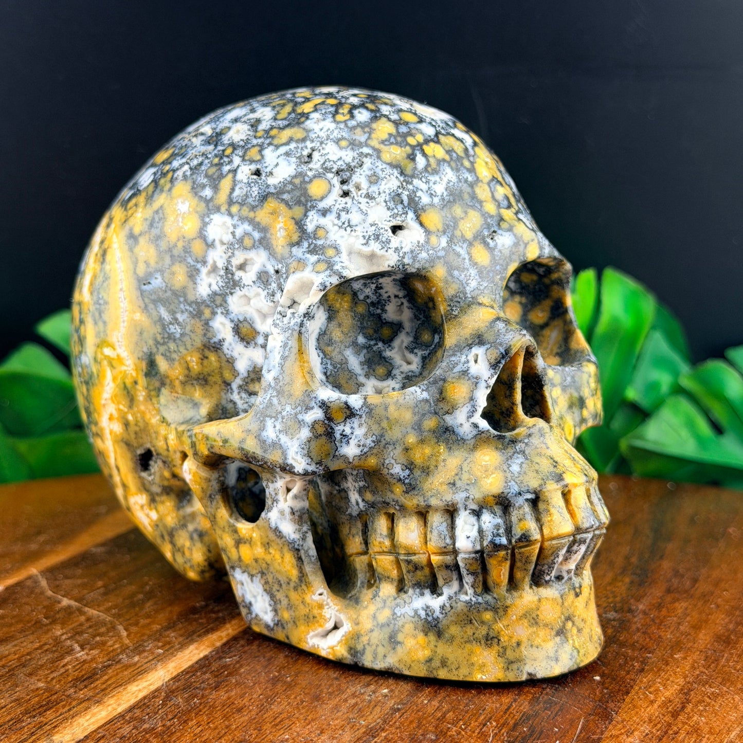 Black & Yellow Orbicular Jasper Skull