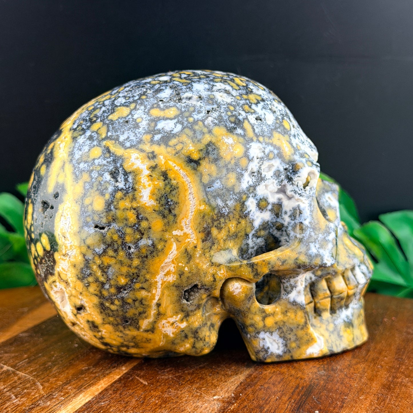 Black & Yellow Orbicular Jasper Skull
