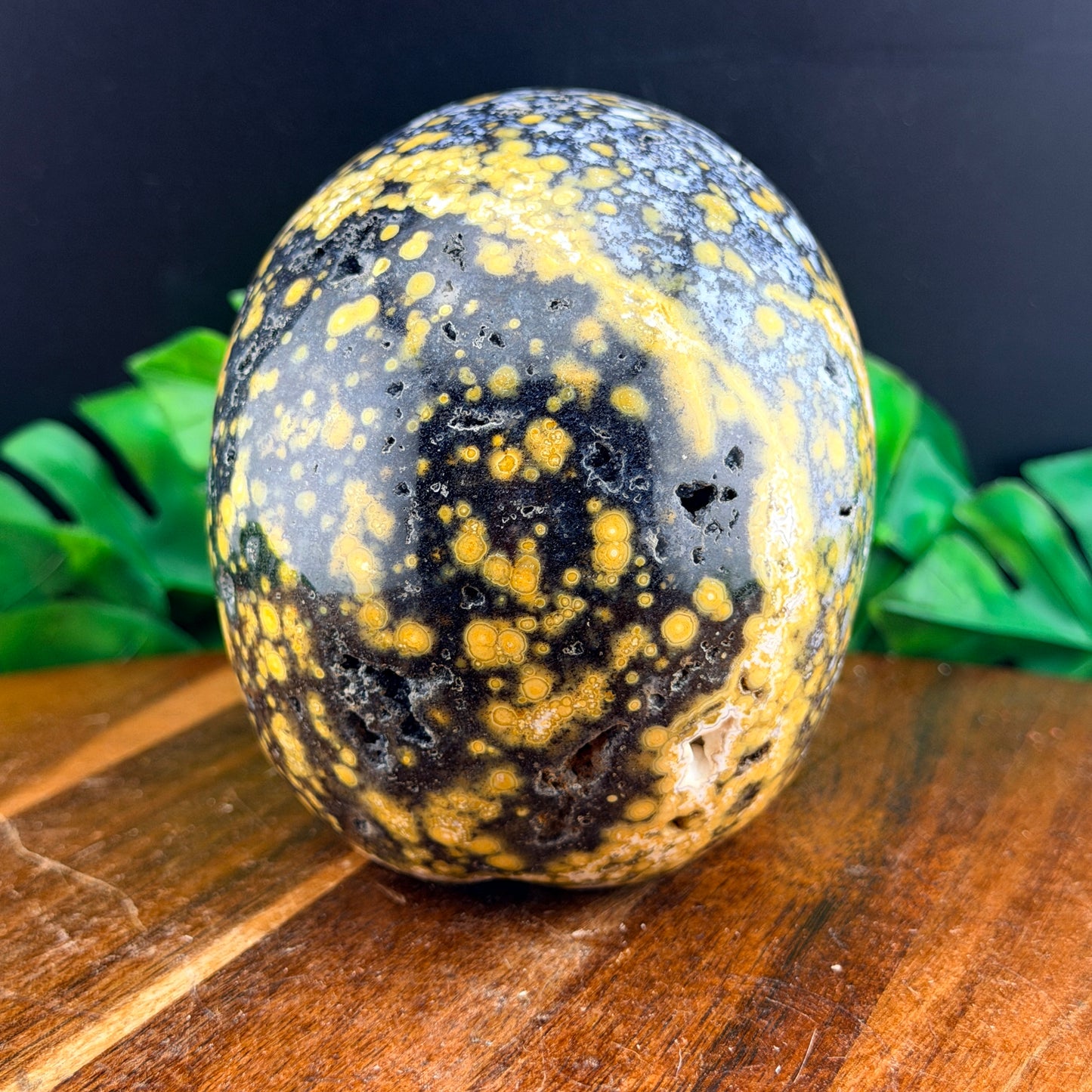 Black & Yellow Orbicular Jasper Skull