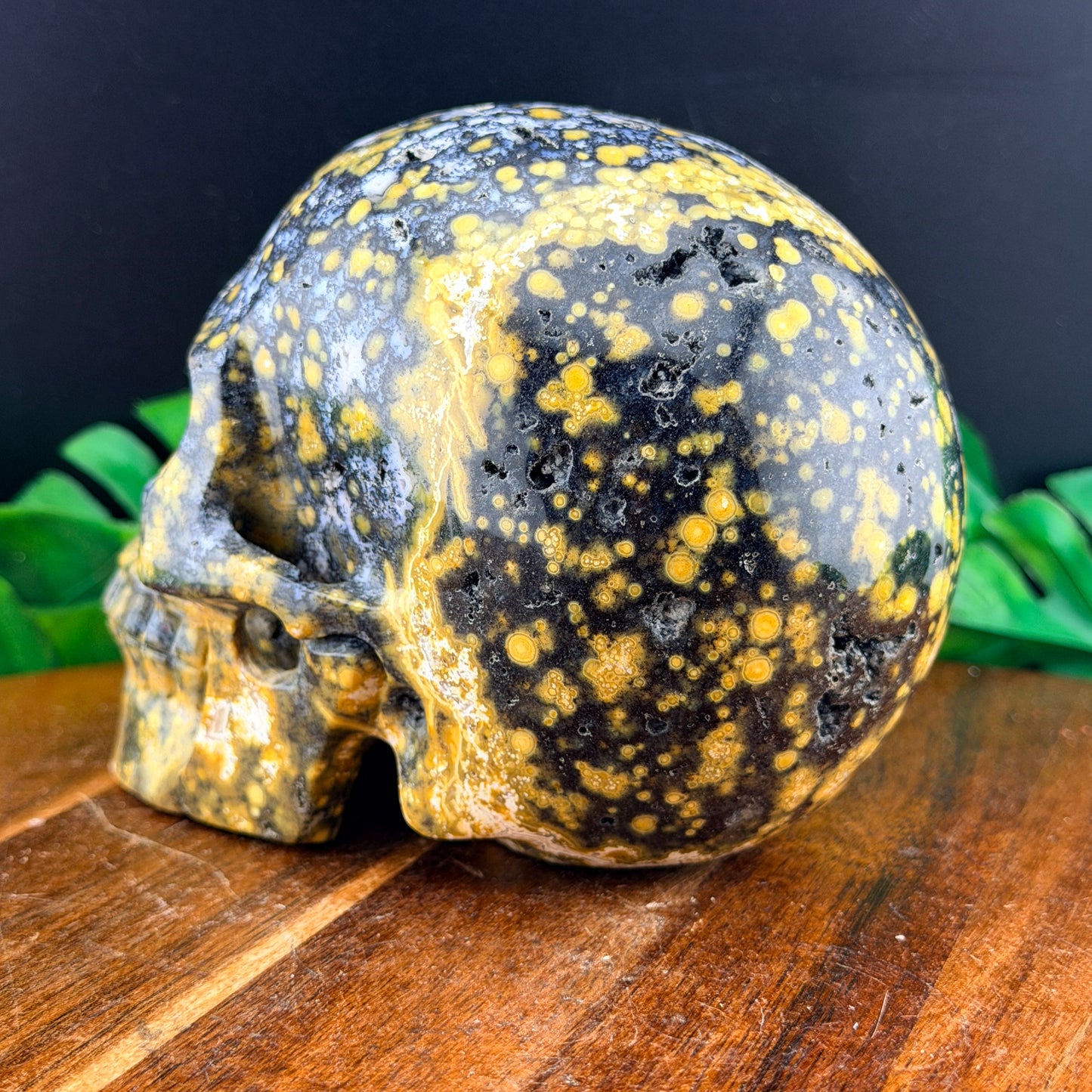 Black & Yellow Orbicular Jasper Skull