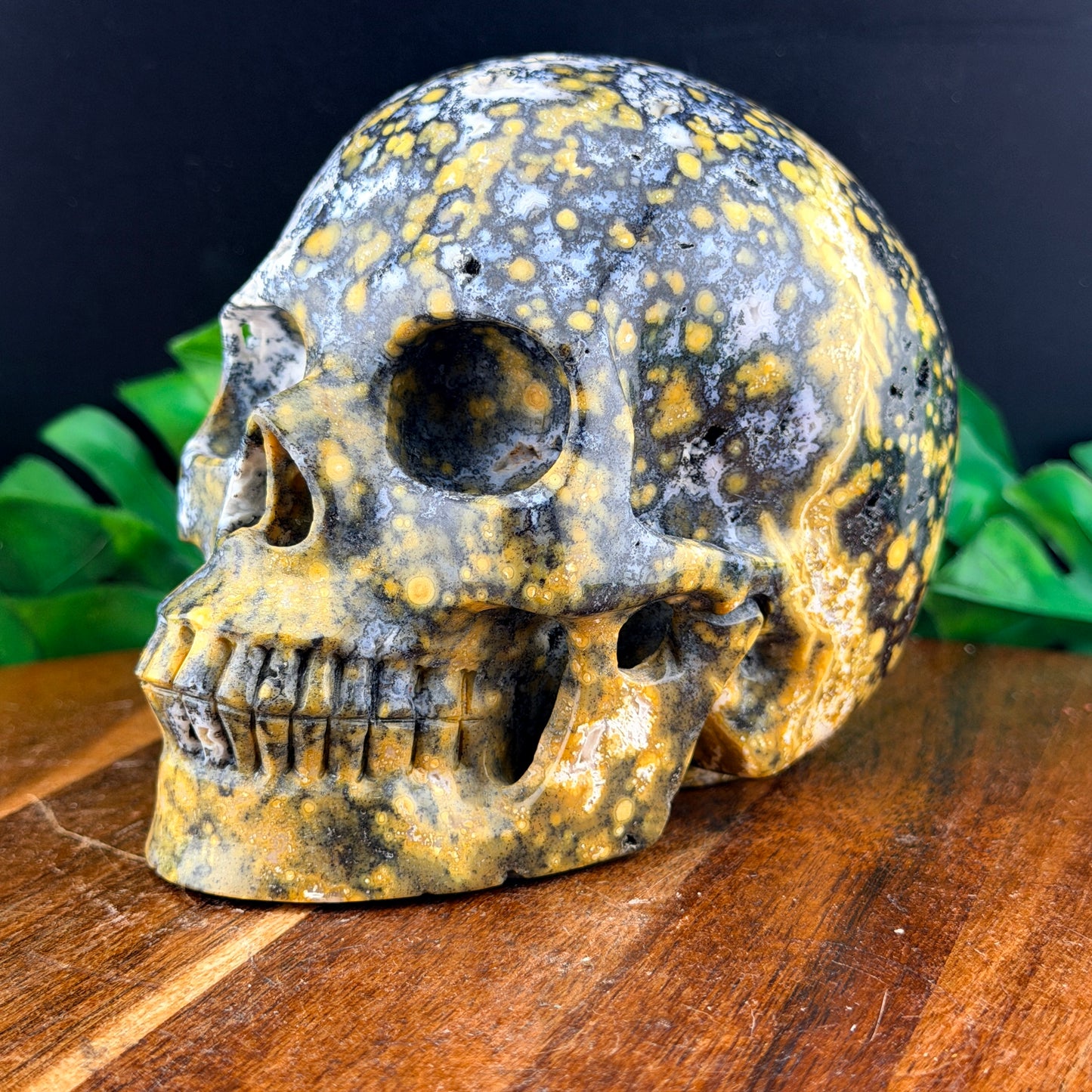 Black & Yellow Orbicular Jasper Skull
