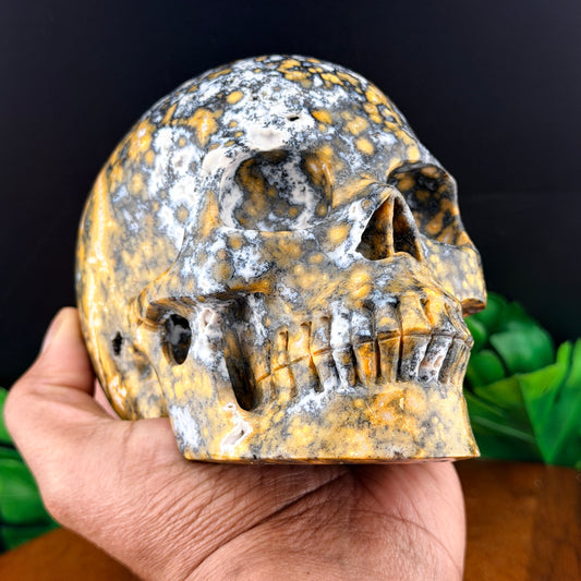 Black & Yellow Orbicular Jasper Skull