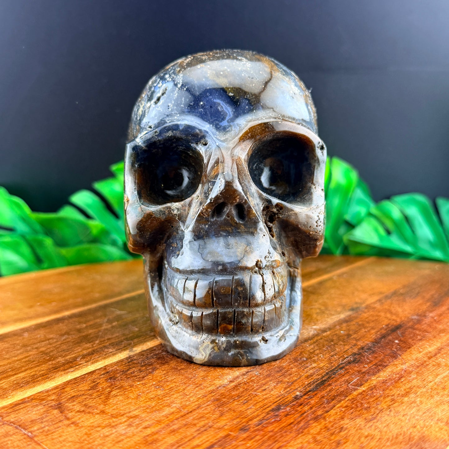 Agatized Jasper Skull