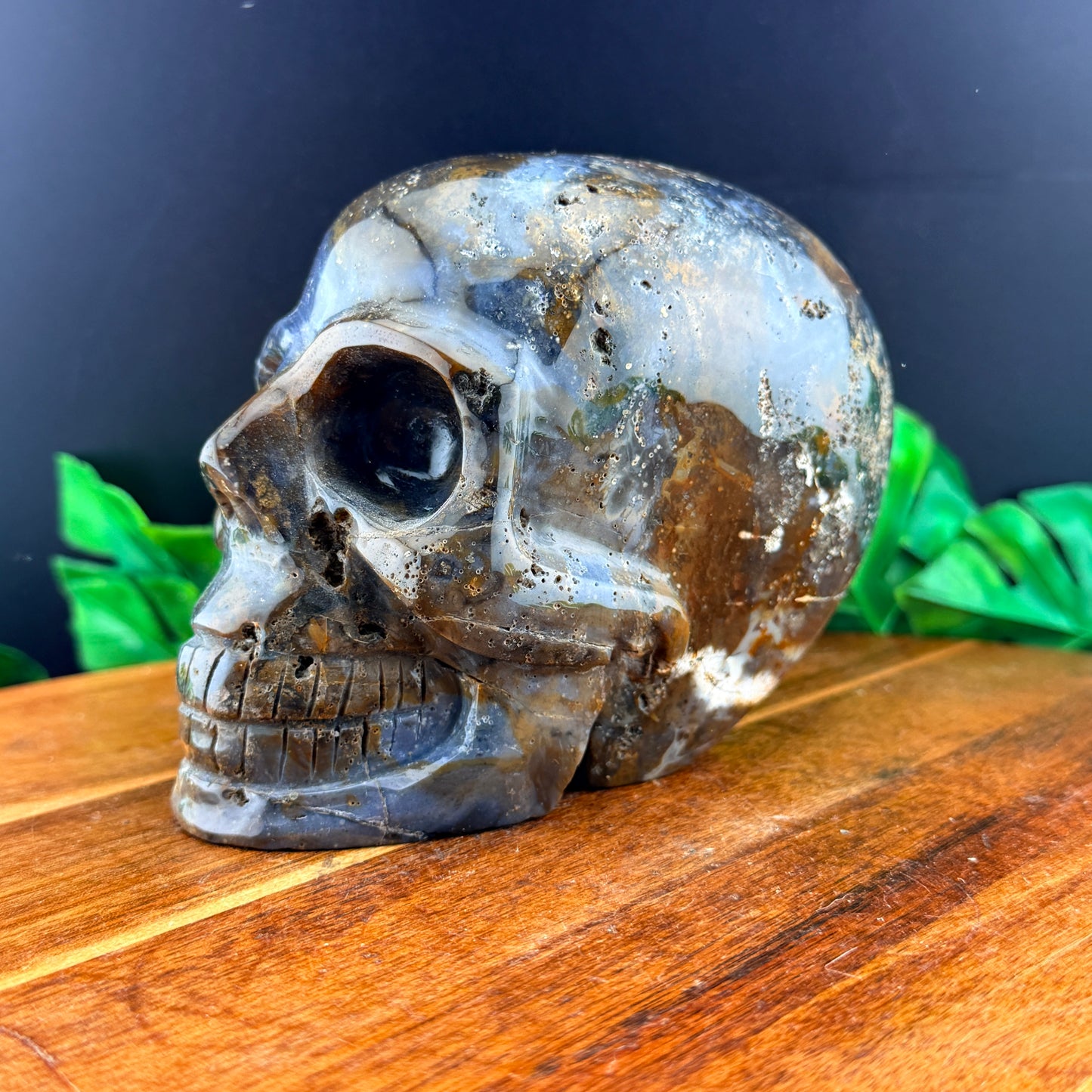 Agatized Jasper Skull