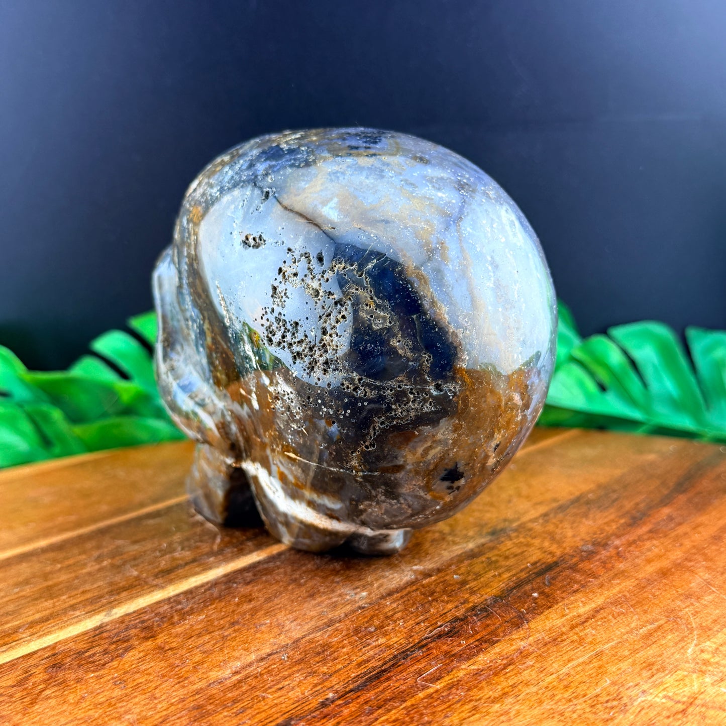 Agatized Jasper Skull