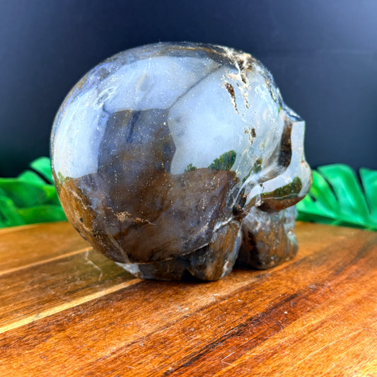 Agatized Jasper Skull