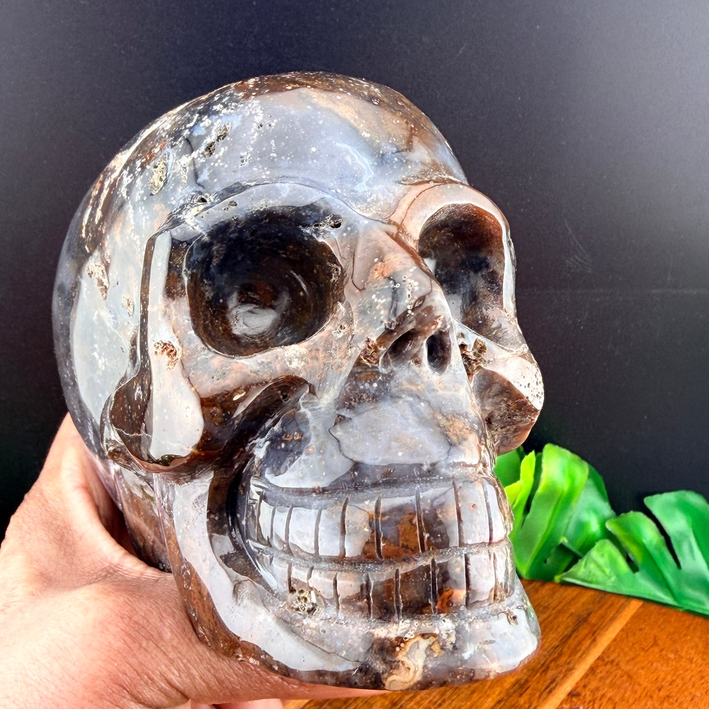 Agatized Jasper Skull