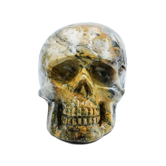 Starborn Hand-Carved Bumblebee Jasper Skull 2,550 cts - 1 Piece