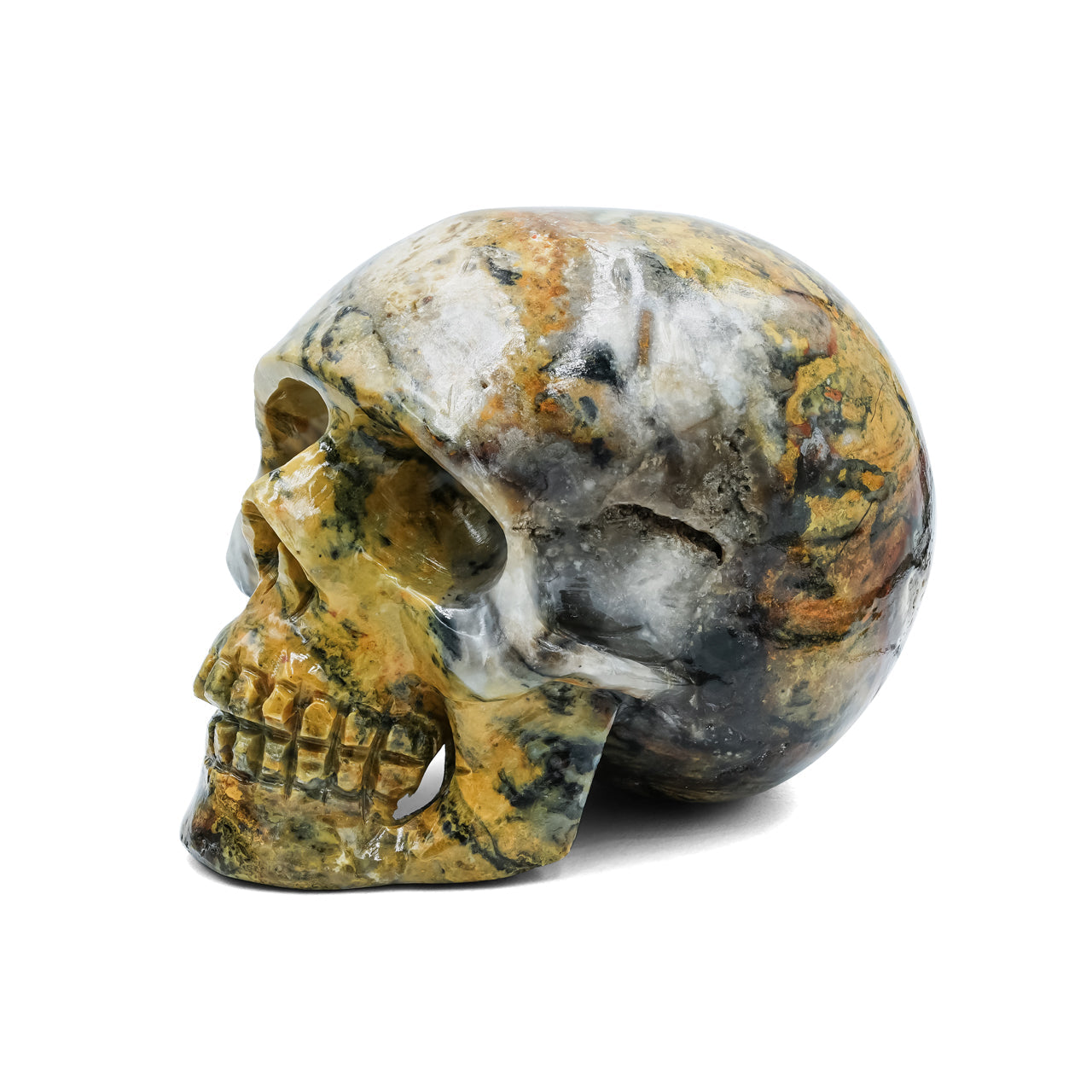 Starborn Hand-Carved Bumblebee Jasper Skull 2,550 cts - 1 Piece