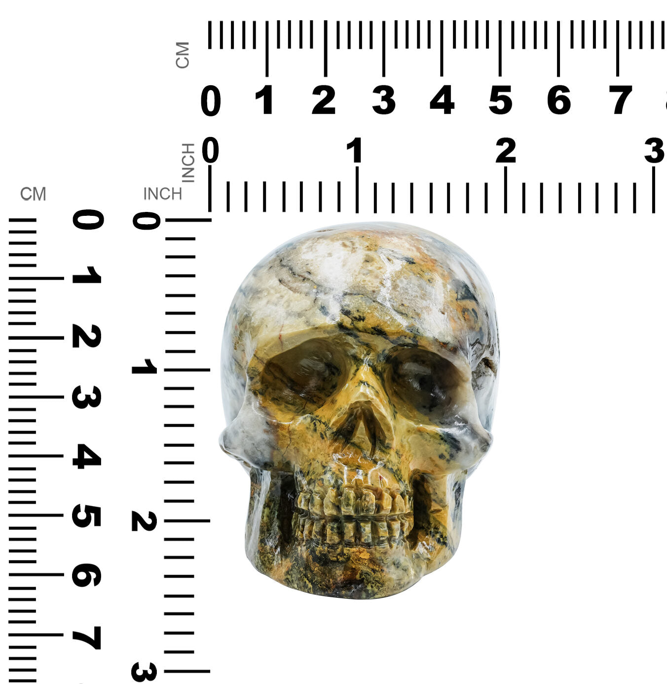 Starborn Hand-Carved Bumblebee Jasper Skull 2,550 cts - 1 Piece