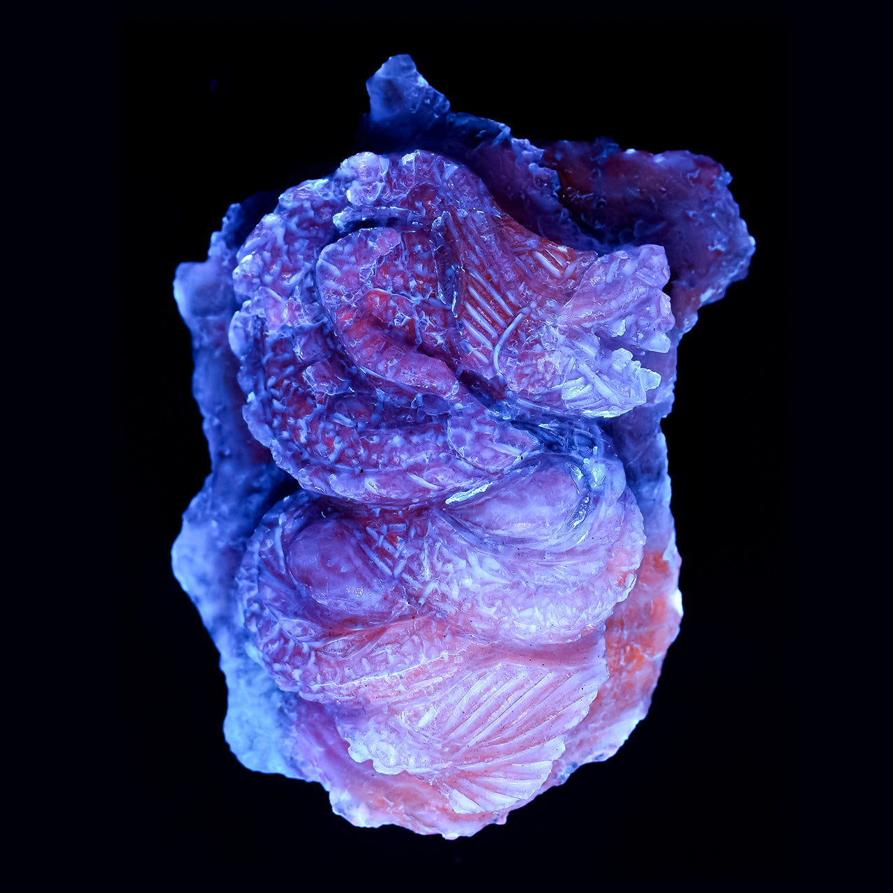 Starborn Hand Carved Fluorescent Hackmanite Dragon 92.5 cts - 1 Piece