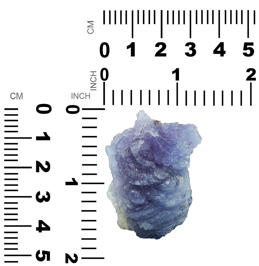 Starborn Hand Carved Fluorescent Hackmanite Dragon 92.5 cts - 1 Piece
