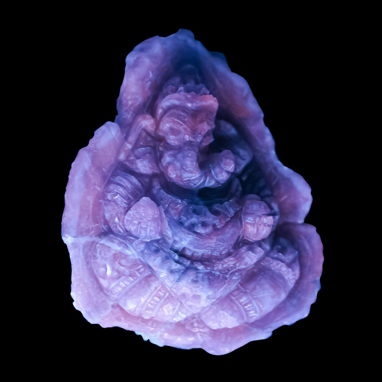 Starborn Hand Carved Fluorescent Hackmanite Ganesh 61.6 cts - 1 Piece
