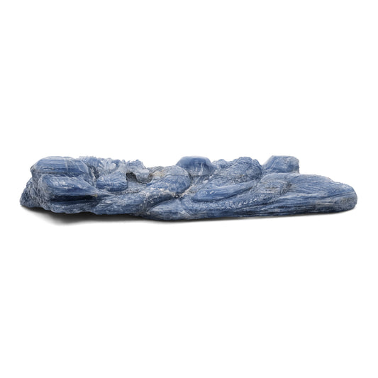 Starborn Hand Carved Kyanite Dragon 373.8 cts - 1 Piece